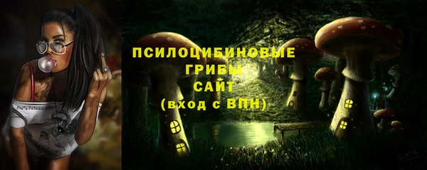 мет Покачи