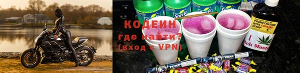 ПСИЛОЦИБИНОВЫЕ ГРИБЫ Гусев