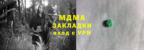 ПСИЛОЦИБИНОВЫЕ ГРИБЫ Гусев