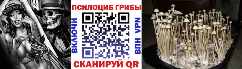 Галлюциногенные грибы ЛСД  наркотики  Гусиноозёрск 